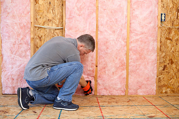 Best Local Insulation Services  in Centerville, UT